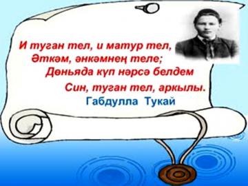 Вебинар для учителей родного (татарского) языка и литературы Российской Федерации в рамках Международного Дня родных языков